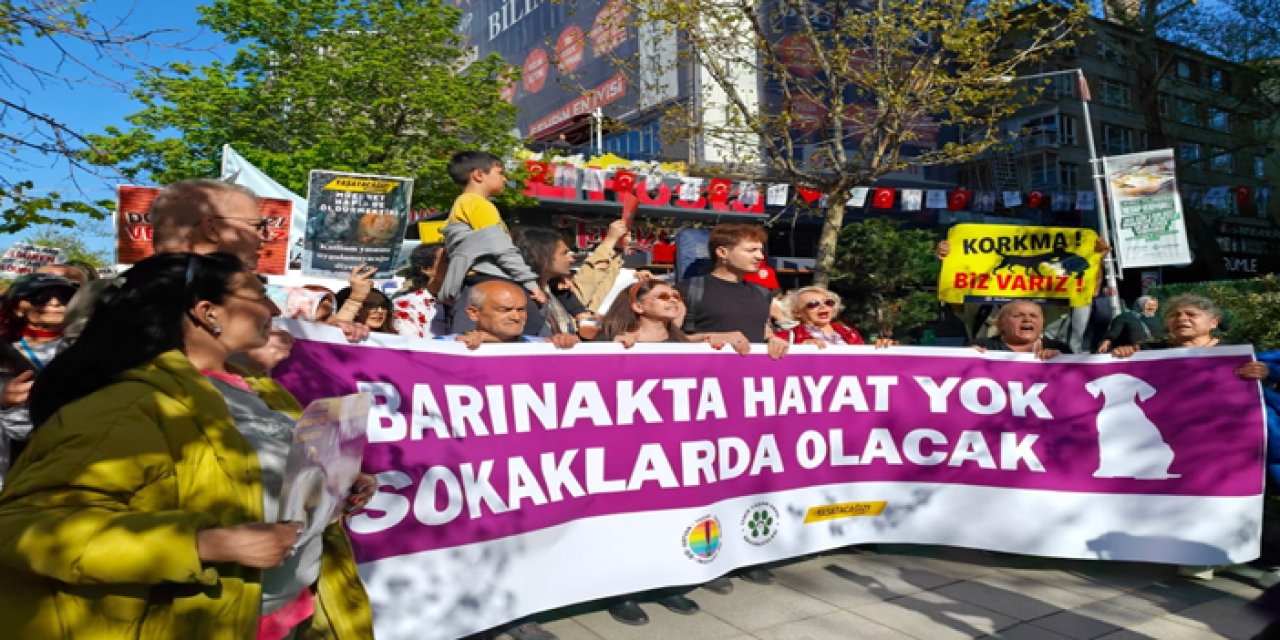 Ankara'da hayvanseverlerden yürüyüş