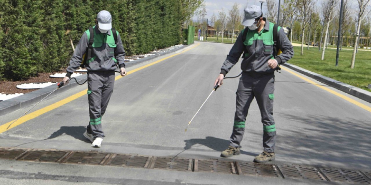 Başkentte haşere alarmı: Büyükşehir ekipleri sahada 7/24 mücadele başlattı