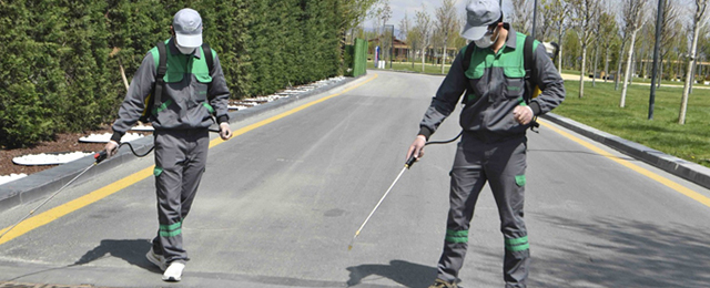 Başkentte haşere alarmı: Büyükşehir ekipleri sahada 7/24 mücadele başlattı