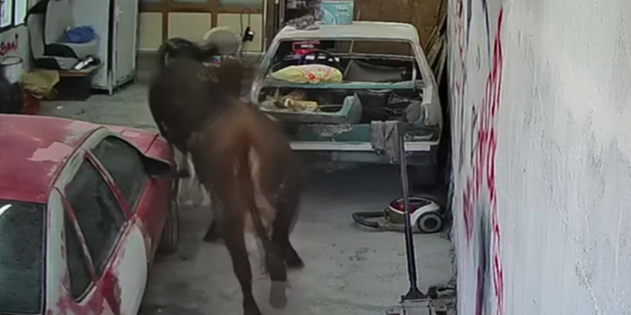 Elmadağ’da ahırdan kaçan hayvanlar tamirciye girdi