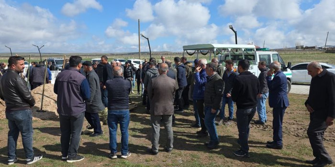 13 sahipsiz köpeğin saldırdığı 5 yaşındaki çocuk hayatını kaybetti