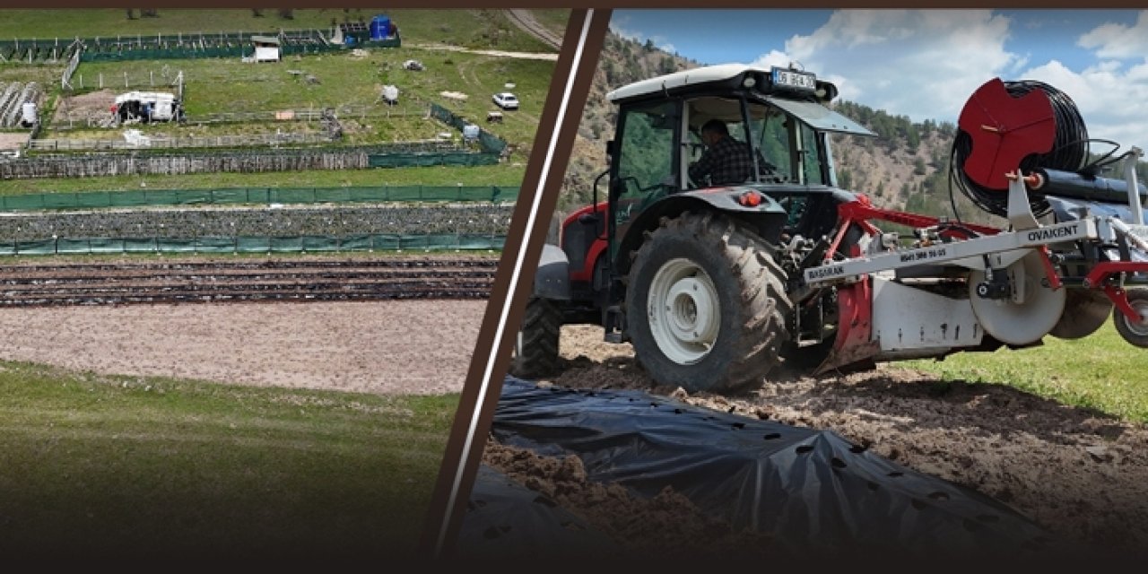 Kızılcahamam’da tarımsal üretim hamlesi: Çilek projesiyle kırsal kalkınma hedefi