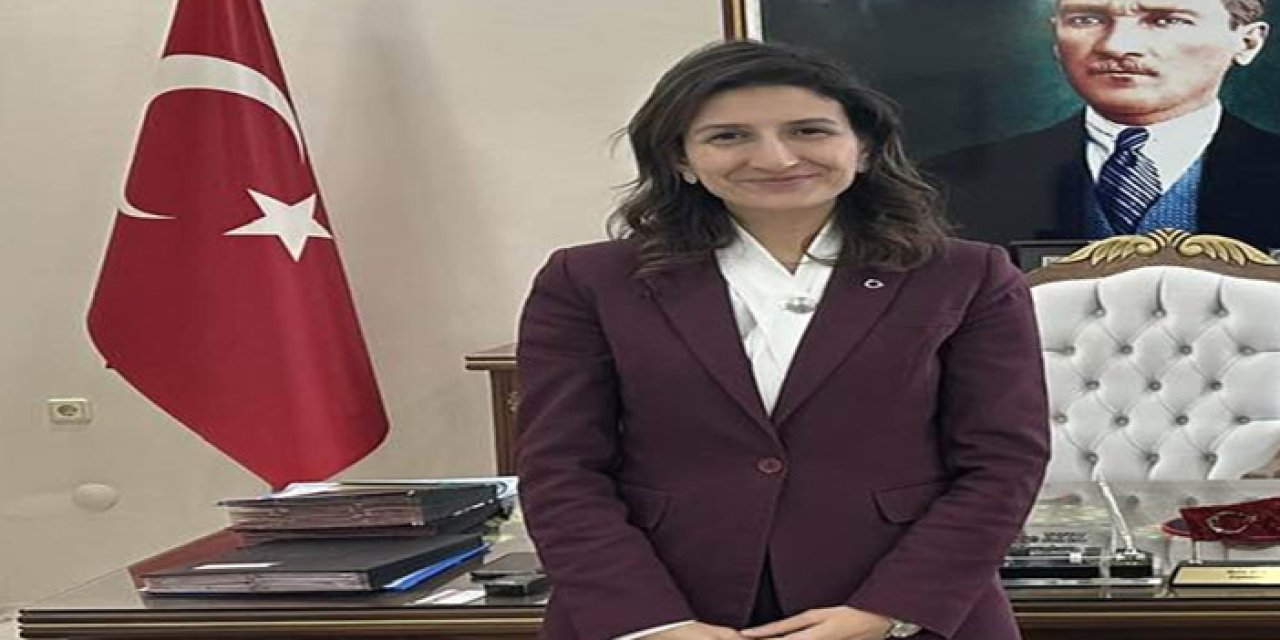 Edirne Enez Kaymakamı trafik kazası geçirdi