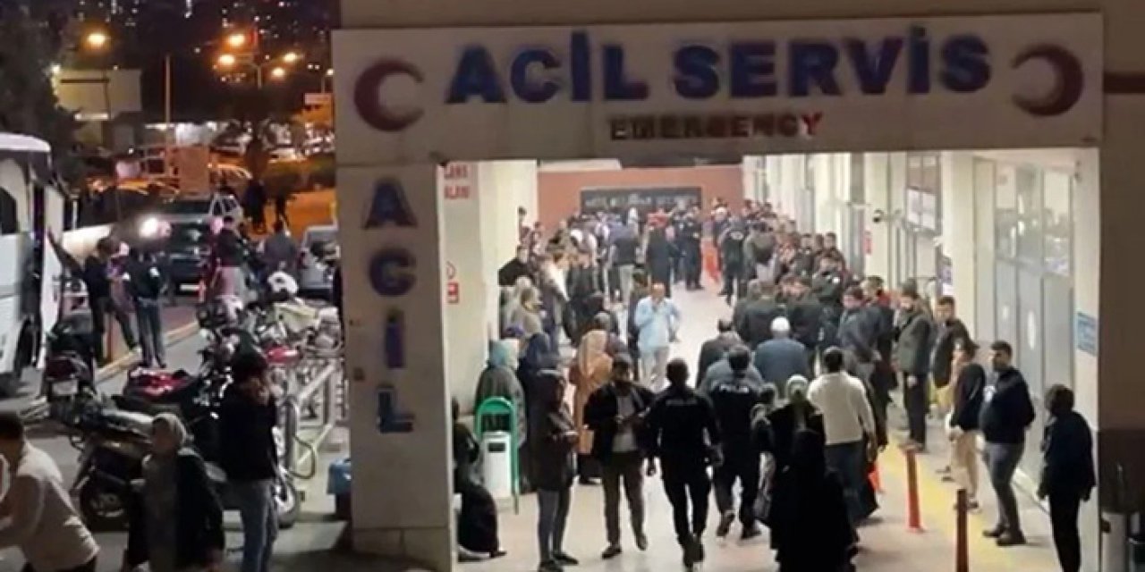 Şanlıurfa'da arazi kavgasında kan aktı: İki üvey kardeşini öldürdü