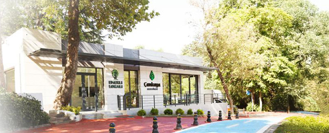 Çankaya’da emekli lokalleri yaz uygulamasına geçecek: Saatler yeniden belirlendi
