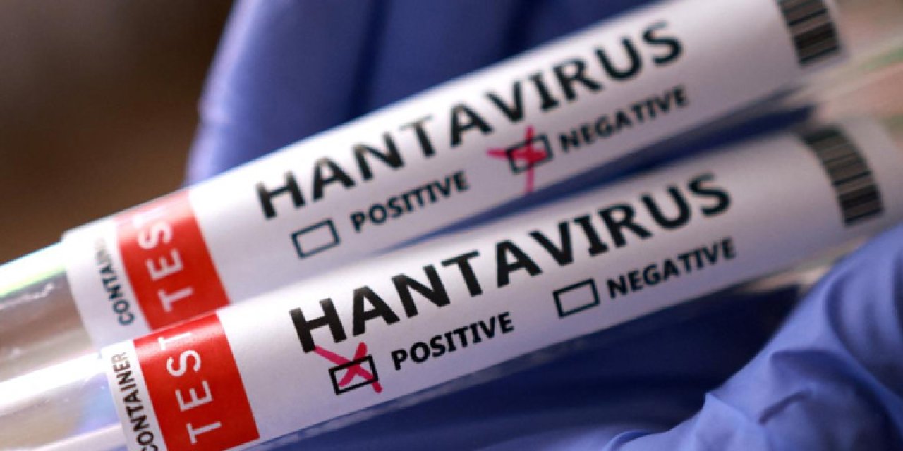 İsrail'de bir kişide hantavirüs tespit edildİ