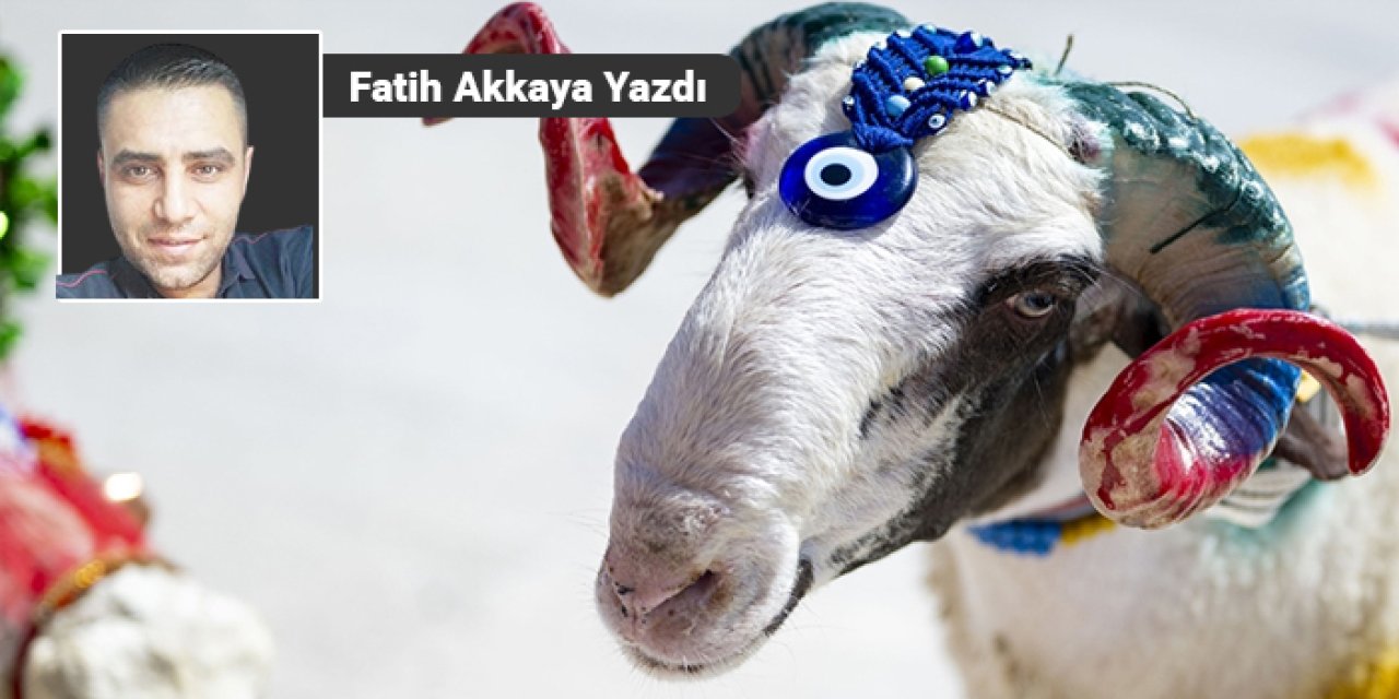 Kurban alırken bunlara dikkat!