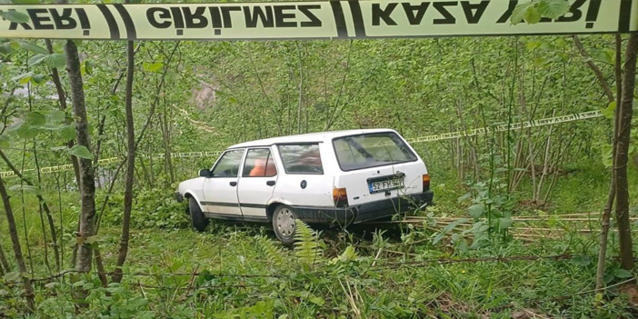 Fındık bahçesine giren otomobilin sürücüsü öldü