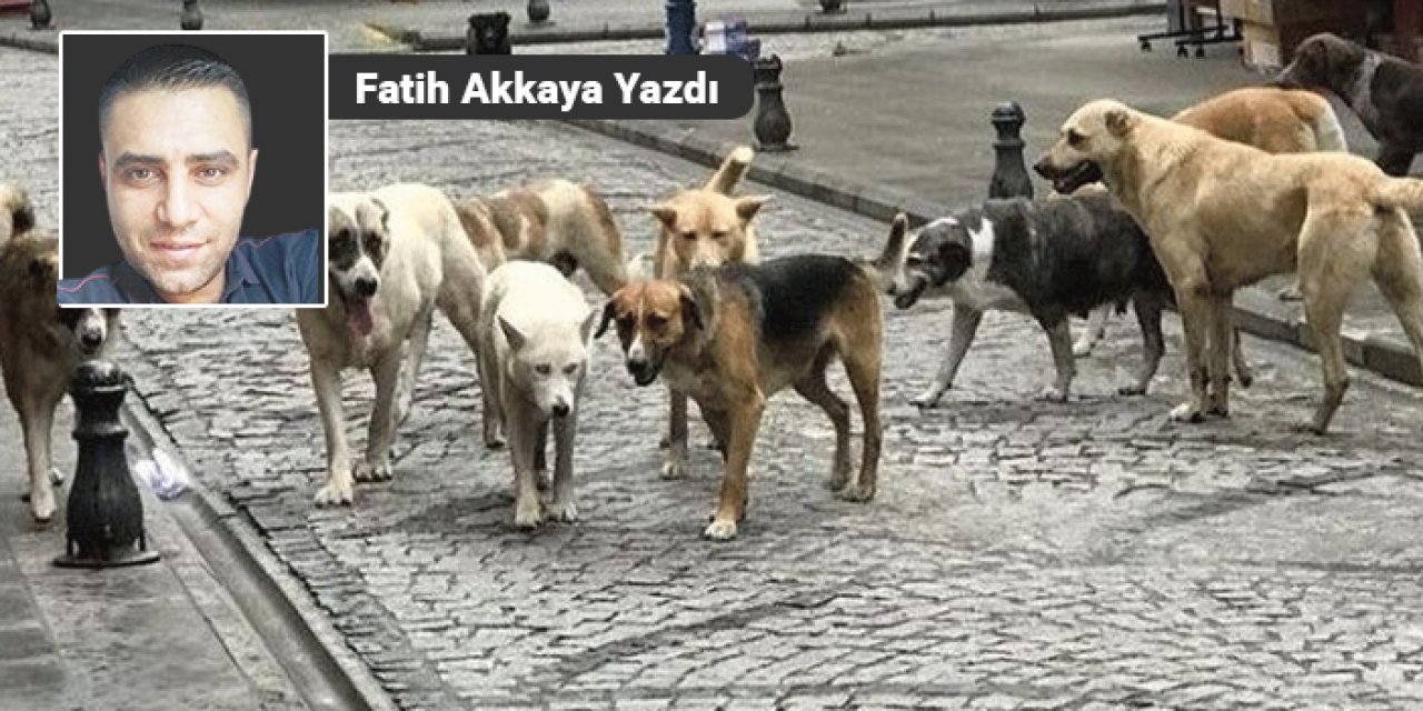 Bu ne yaman garabet?