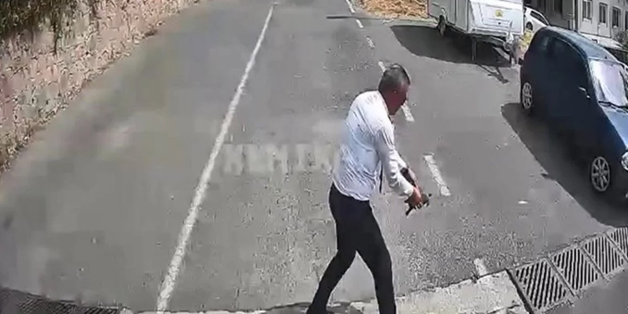 Otobüsü durdurup kaplumbağayı ezilmekten kurtardı