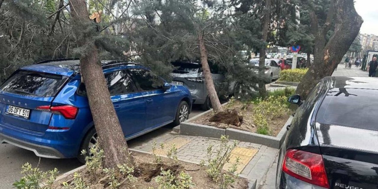 Ankara'da fırtına kabusu: Ağaçlar devrildi, yollar kapandı