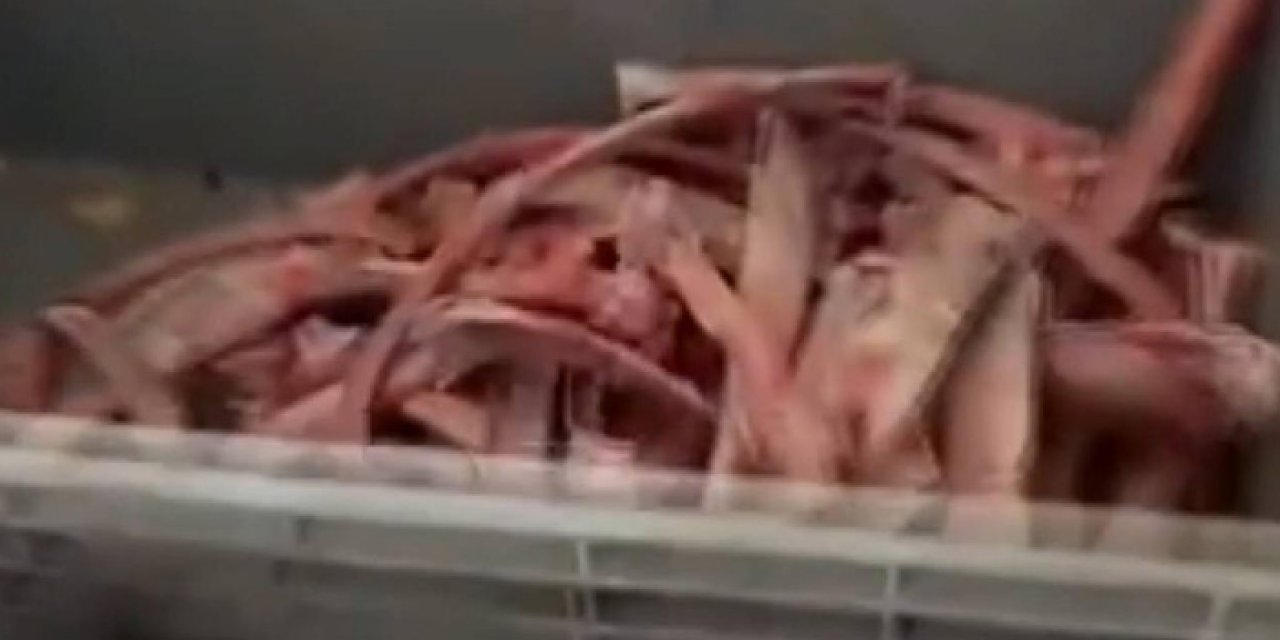 Başkent'de sağlığı tehdit eden 40 ton et ele geçirildi