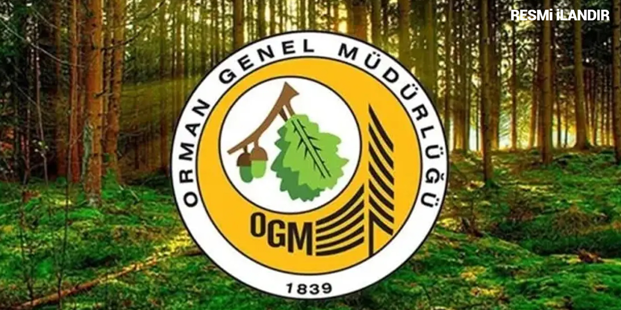 BEYPAZARI ORMAN İŞLETME MÜDÜRLÜĞÜ