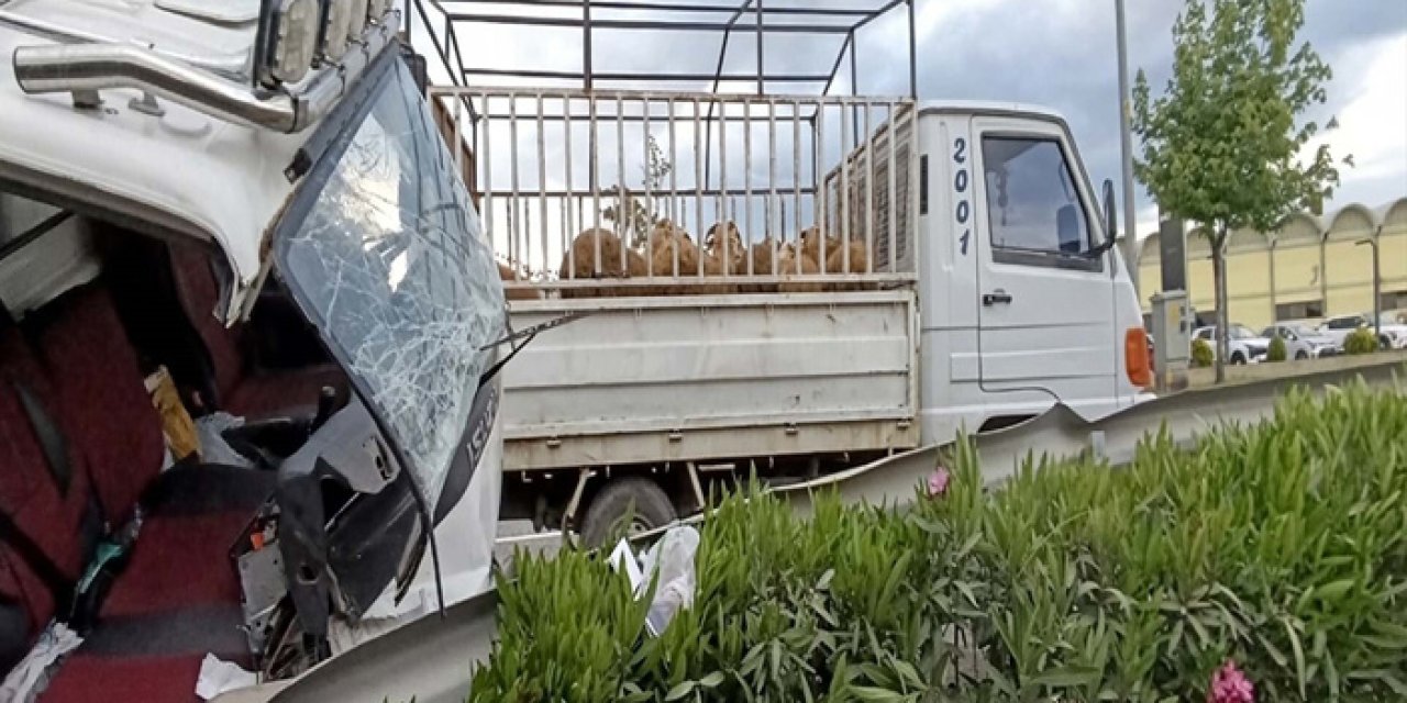 Balıkesir'de kurbanlık yüklü kamyonet devrildi!