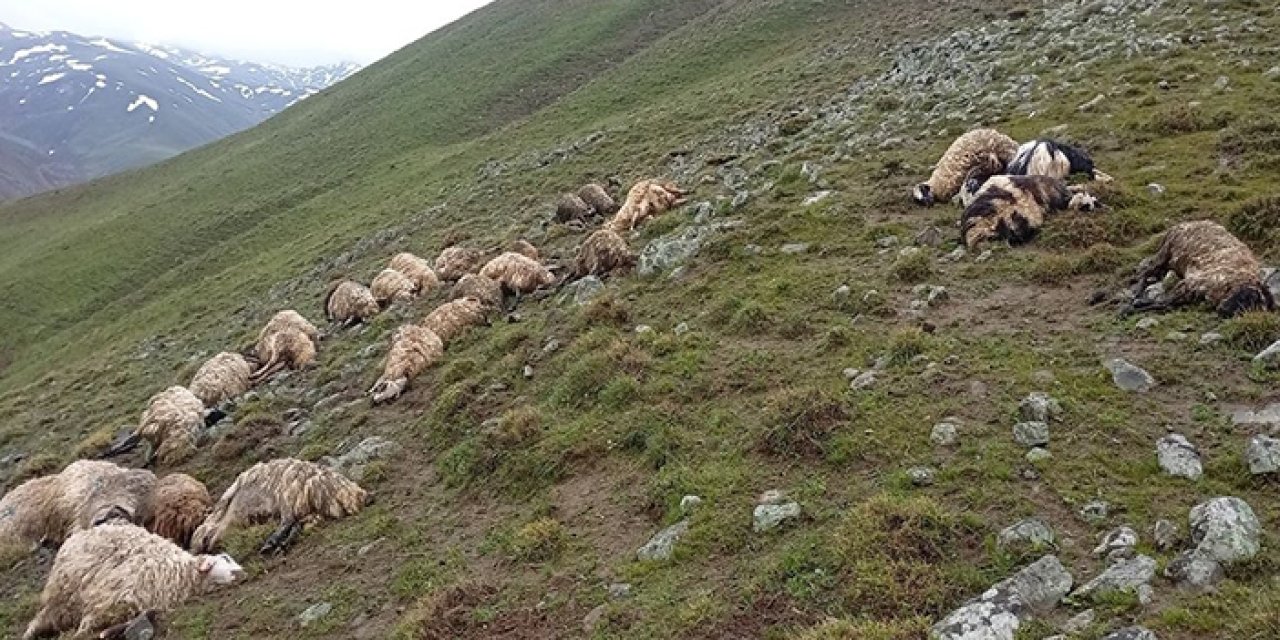 Van'da yıldırım isabet eden 30 küçükbaş hayvan telef oldu