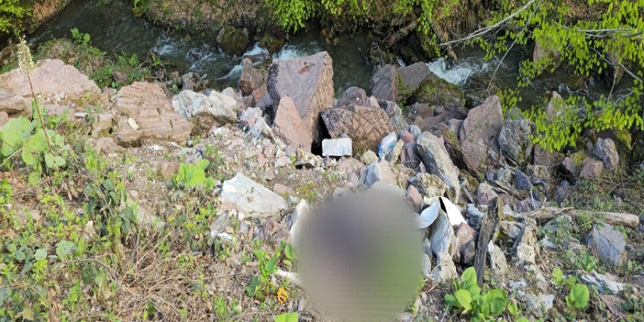 Düzce’de dere kenarında bıçaklanmış ceset bulundu