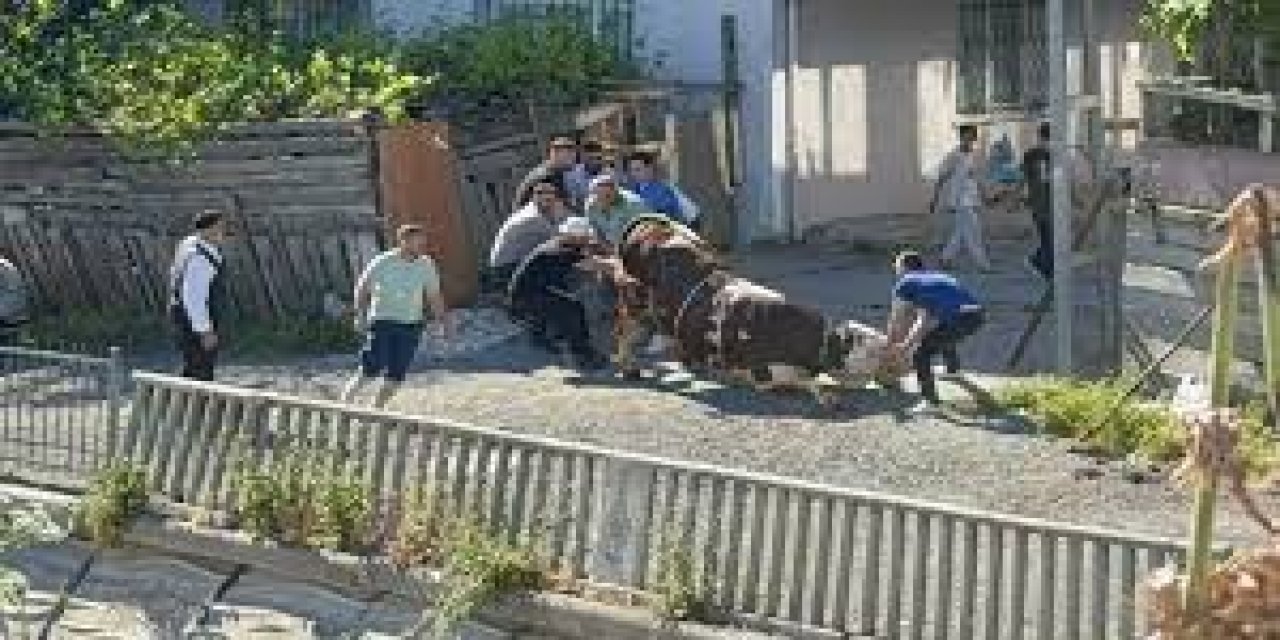 Kaçak kurban kesenlere ceza
