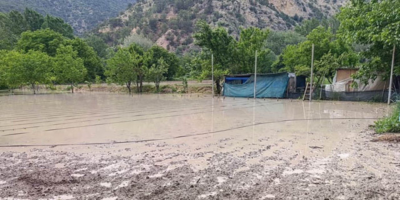 Nallıhan'da bahçeleri su bastı