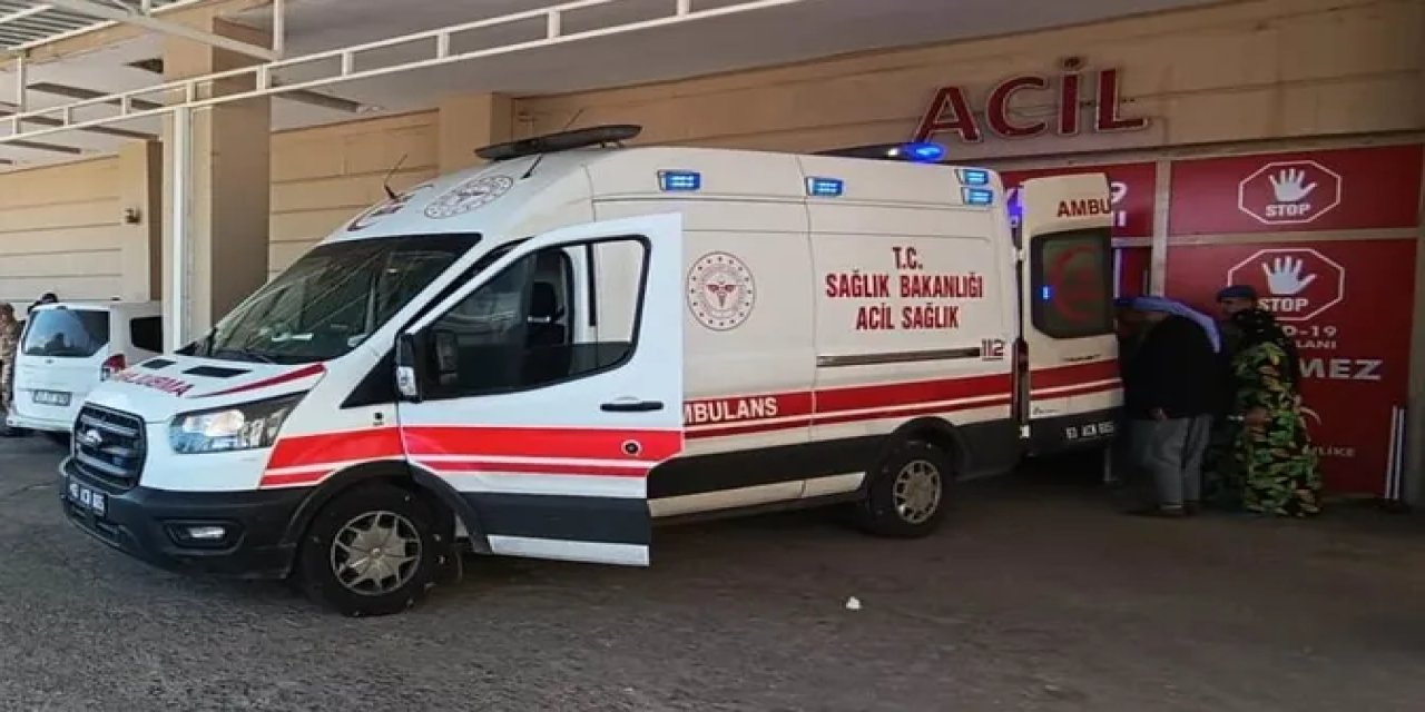 Şanlıurfa'da yılanı vurmak isteyen kişi 5 kişiyi yaraladı