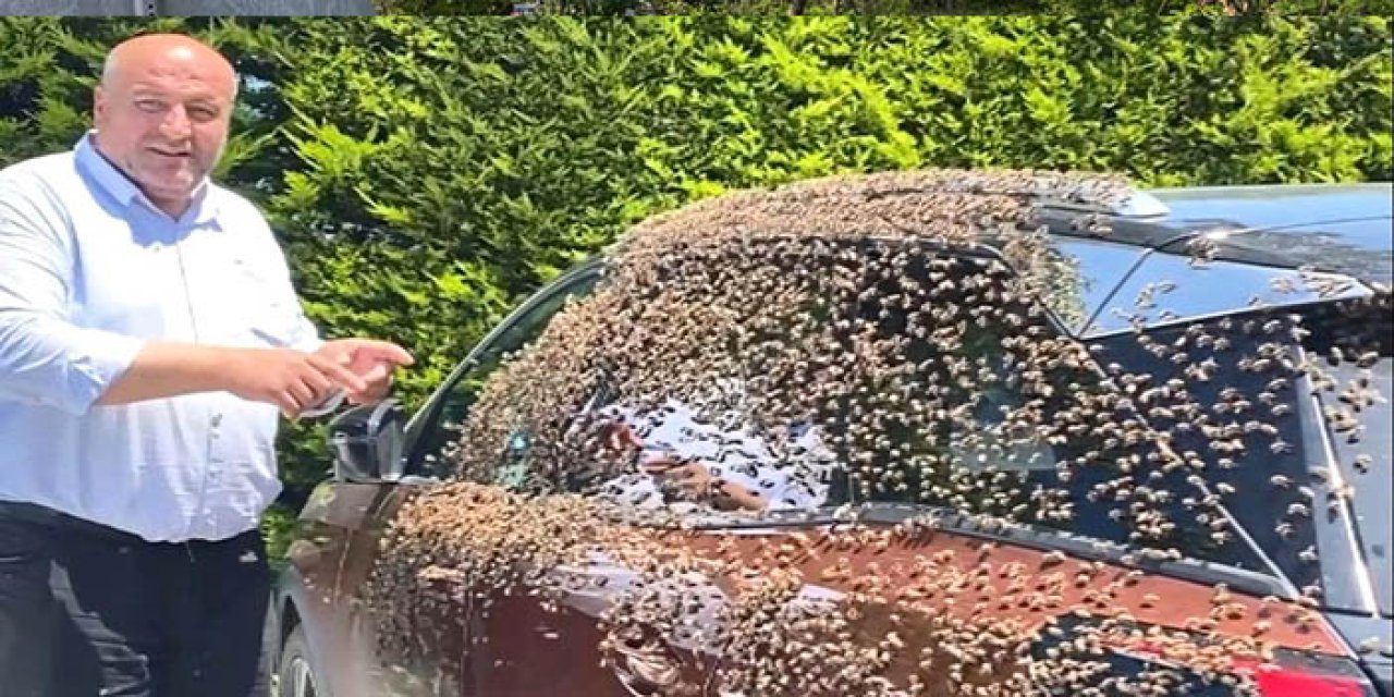 Şehir merkezinde otomobili arılar sardı