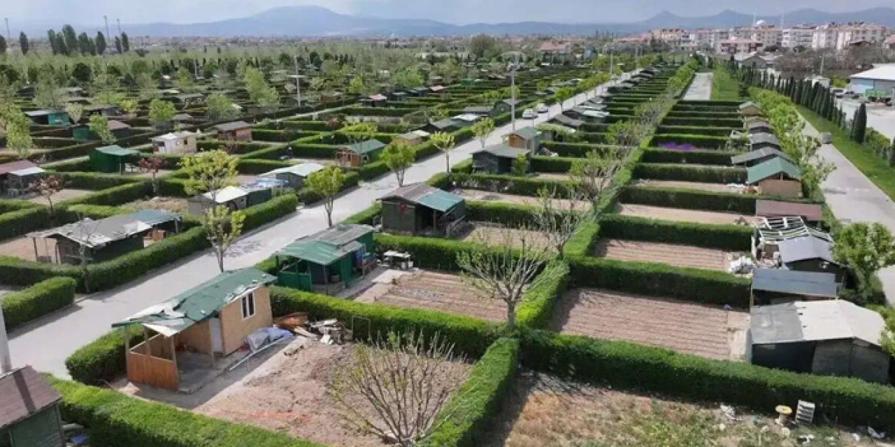 Resmen yasaklandı! Hobi bahçelerinde yeni dönem başladı