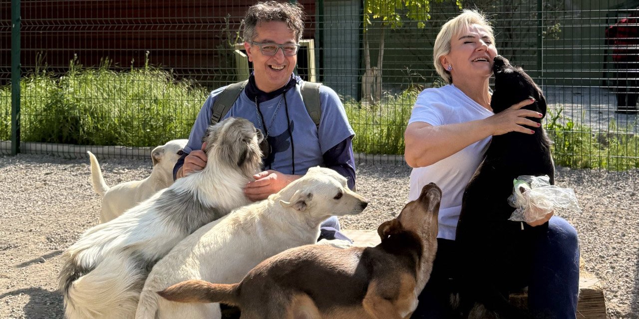 Nimet Özdemir son nefesine kadar başıboş köpekler için mücadele edecek