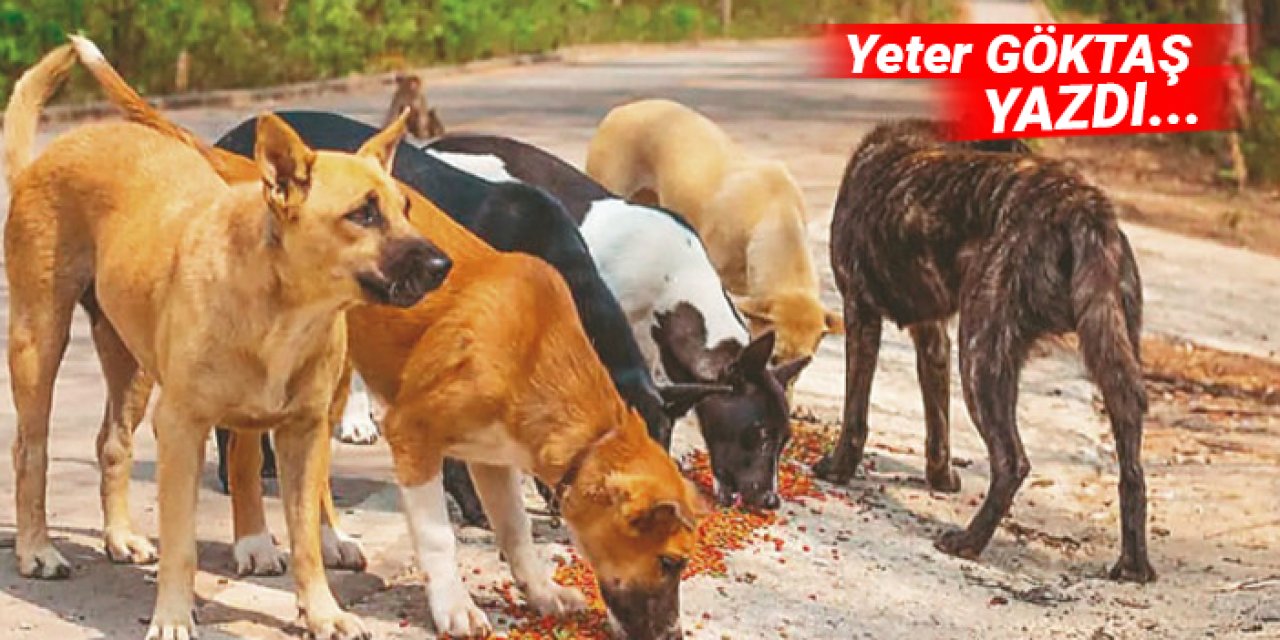 Mama lobisinden karşı atak!