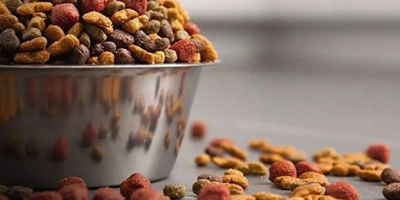 Polatlı Belediyesi onlarca ton kedi ve köpek maması satın alacak