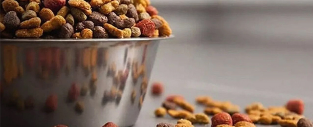 Polatlı Belediyesi onlarca ton kedi ve köpek maması satın alacak