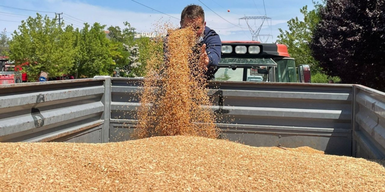 Polatlı’da hasatın ilk buğdayı rekor fiyatla alıcı buldu