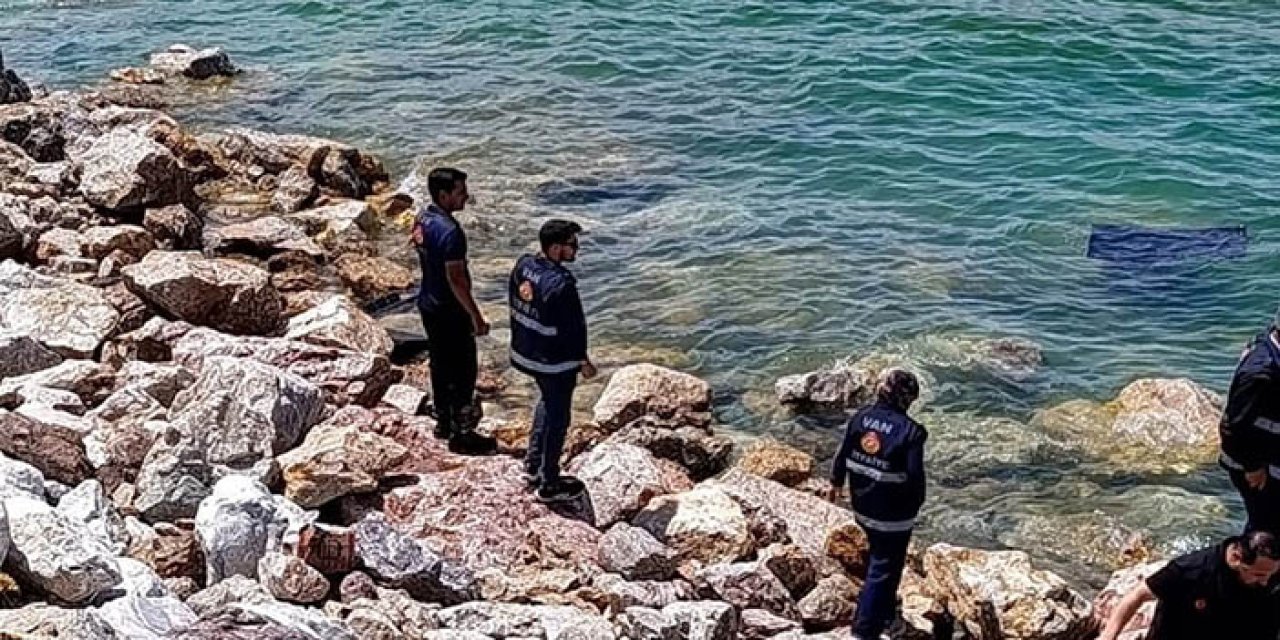 Van Gölü'ne düşen otomobilin sürücüsü yaralı kurtarıldı