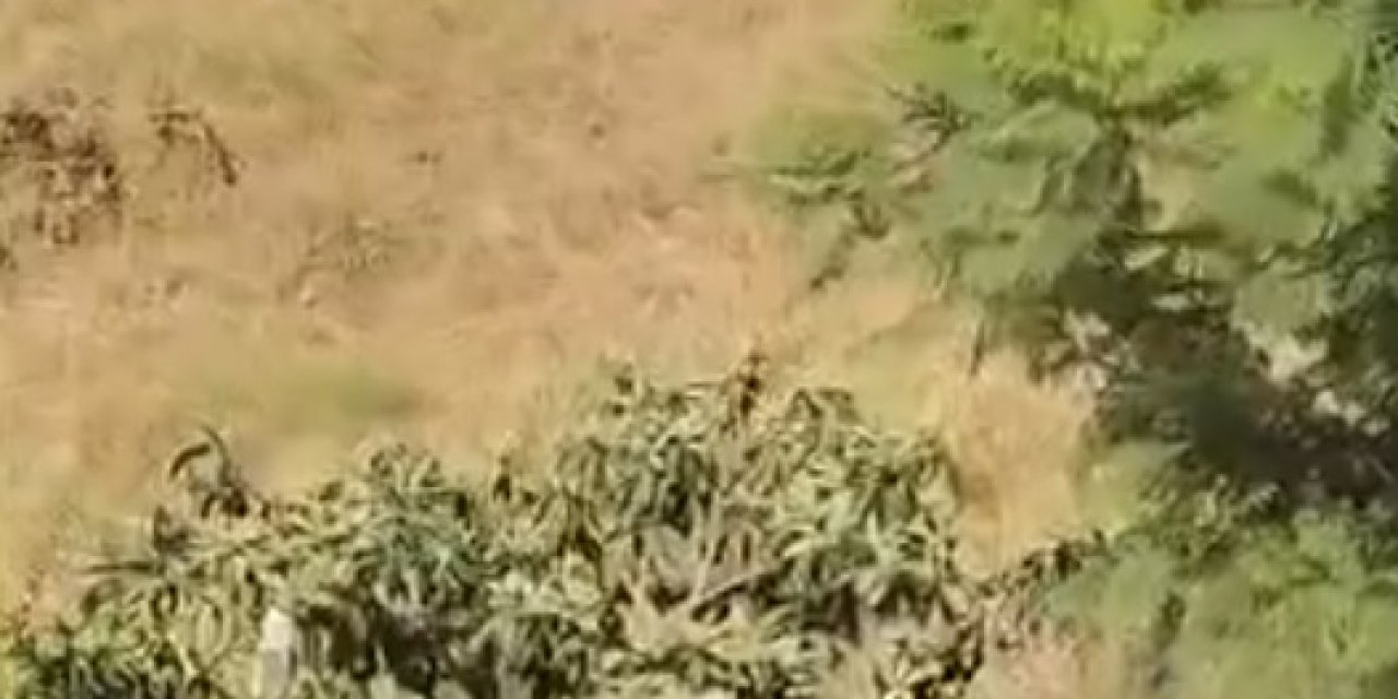 Sulama kanalına giren oğlunu kemerle dövdü