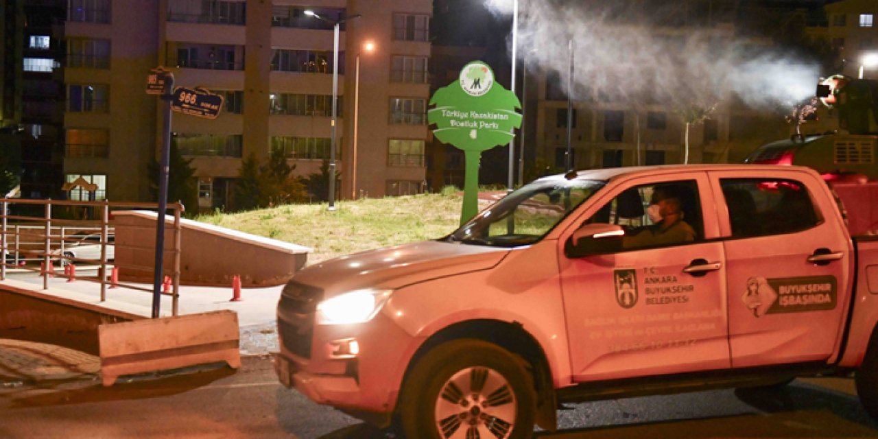 Başkentte sineklere gece operasyonu düzenlendi