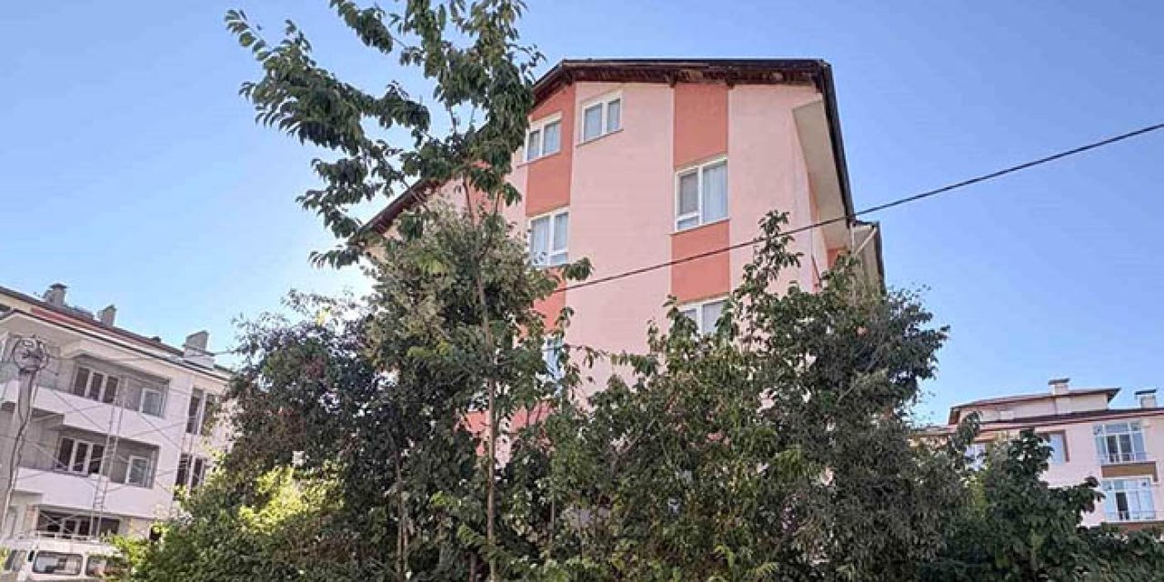 Ihlamur ağacından düşen emekli öğretmen yaralandı