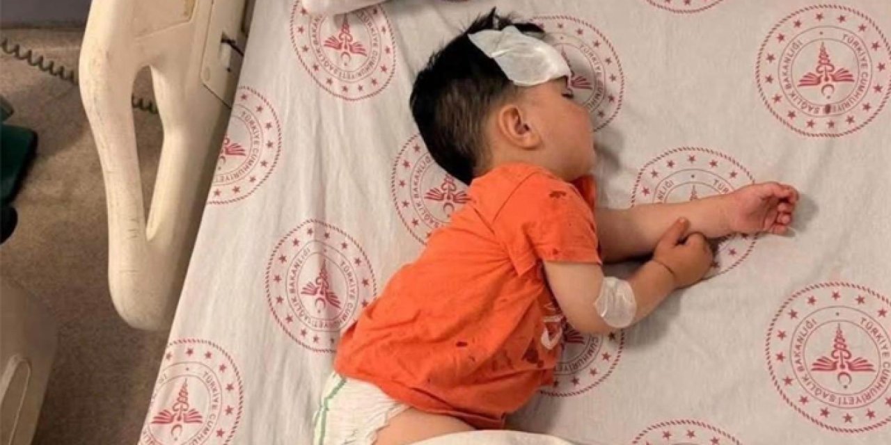 Halfeti'deki köpek saldırısı için müfettiş kararı