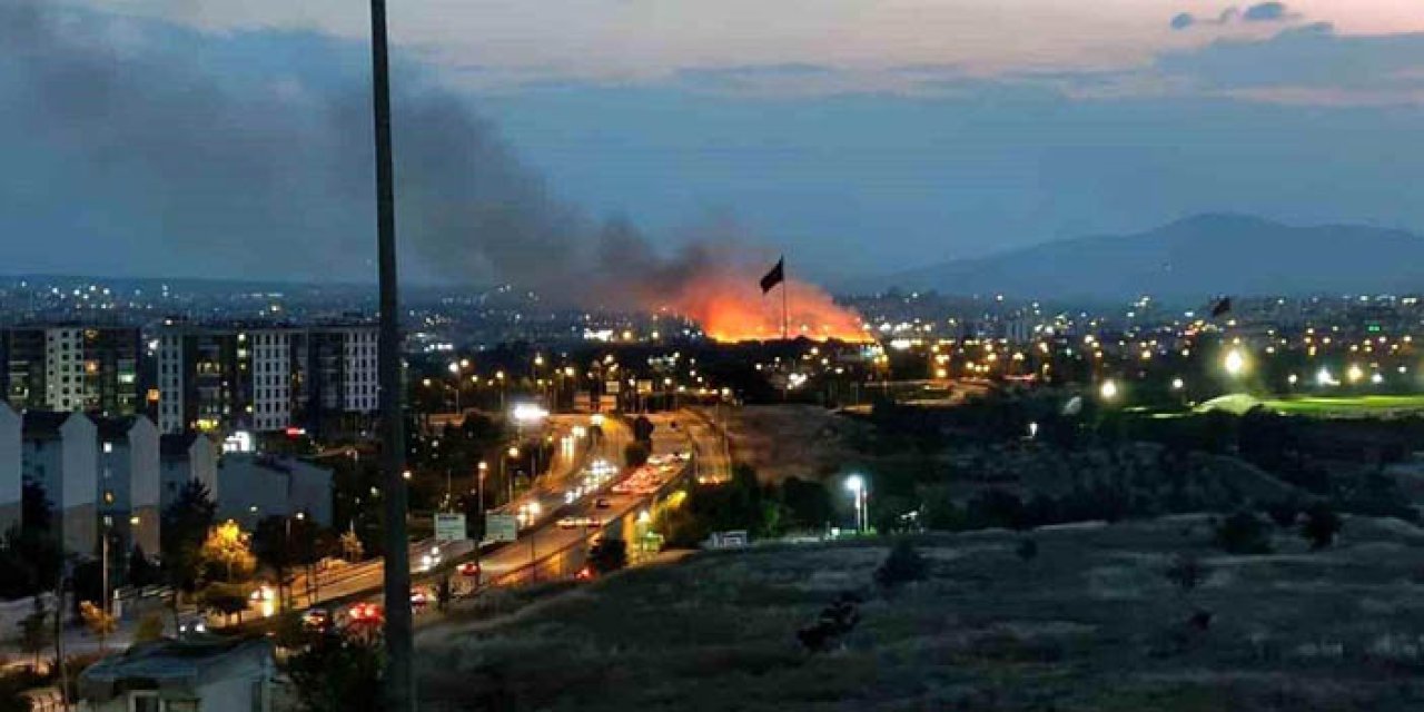 Ankara'da otluk arazide yangın