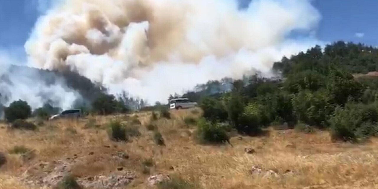 Balıkesir'de orman yangını