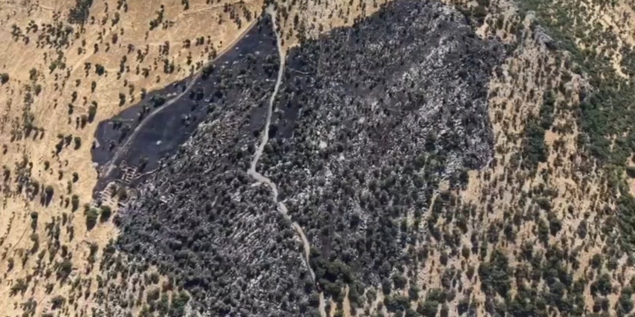 Diyarbakır'da çıkan örtü yangınında 50 dönümlük arazi zarar gördü; Hasar dron ile görüntülendi