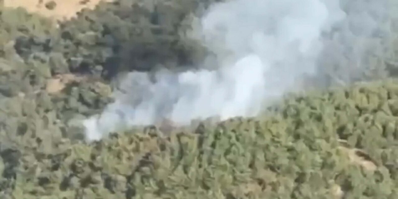 Balıkesir'de ormanlık alanda yangın