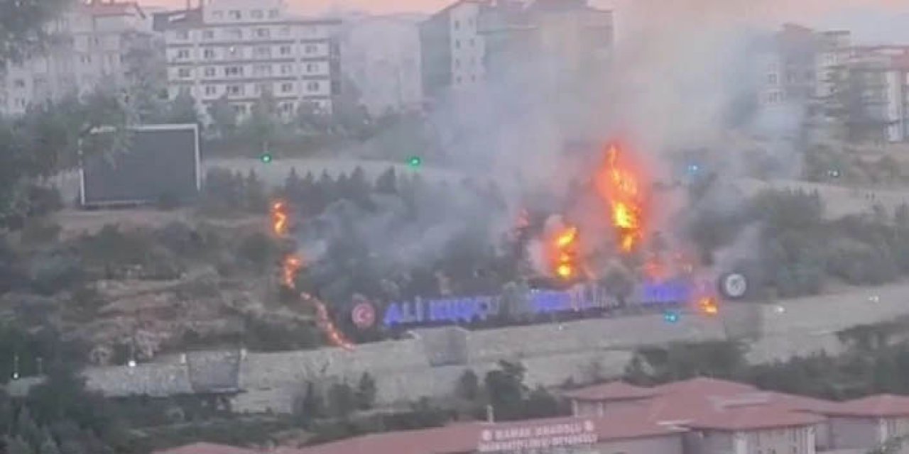 Mamak'ta bir parkın ağaçlık alanında çıkan yangın korkuttu