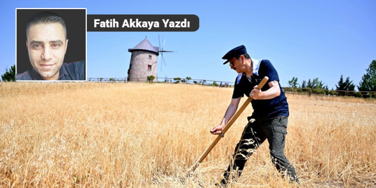 Yaptı, ekti; biçip pişirecek