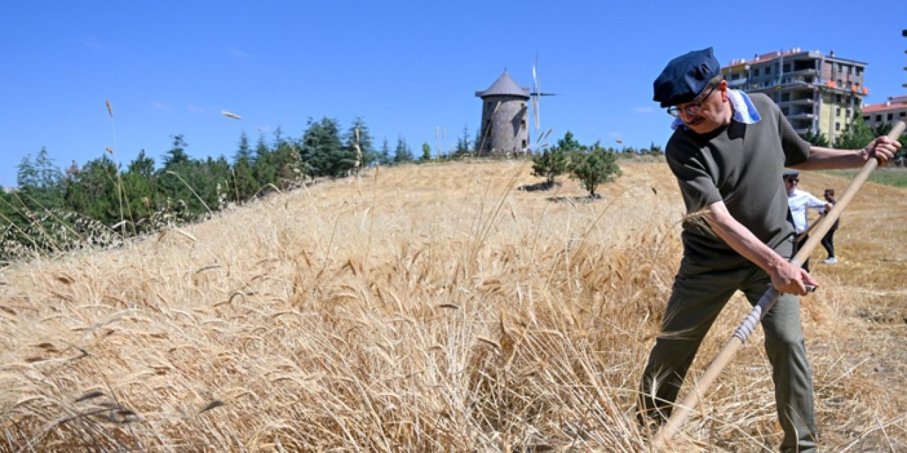 Ankara’da Anadolu geleneği hasat şenliği ile yeniden canlandı