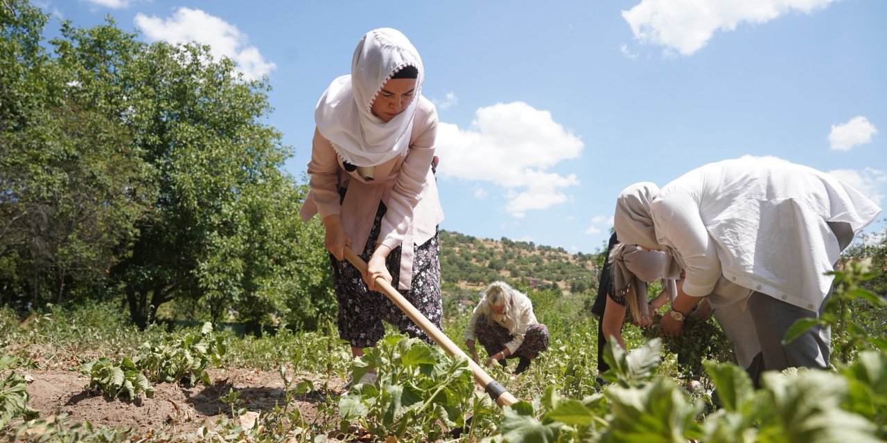 AK Partili Aysel Akgül, şalvar giyip bostan çapaladı