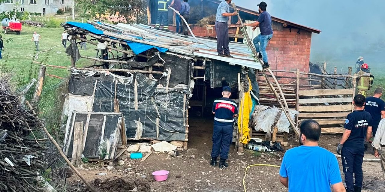 Bursa’da samanlık yangını