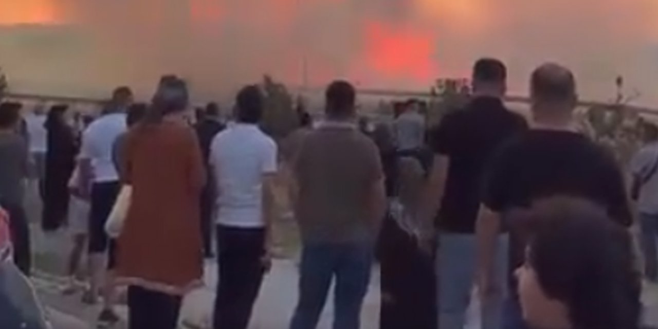 Etimesgut'ta ağaçlık alanda yangın