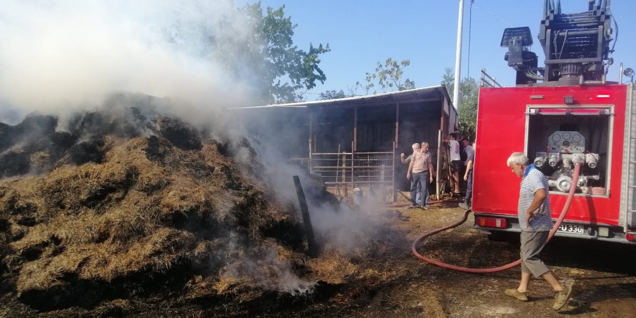 Edirne’de yaklaşık 500 saman balyası kül oldu