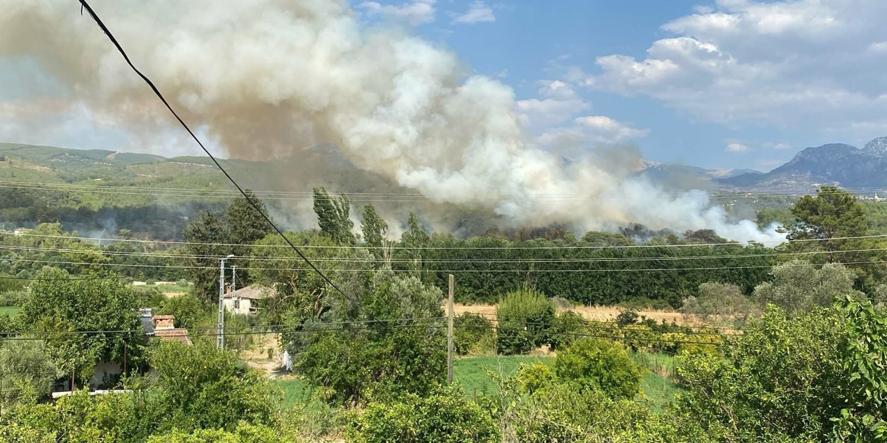Muğla Seydikemer’deki orman yangını söndürüldü