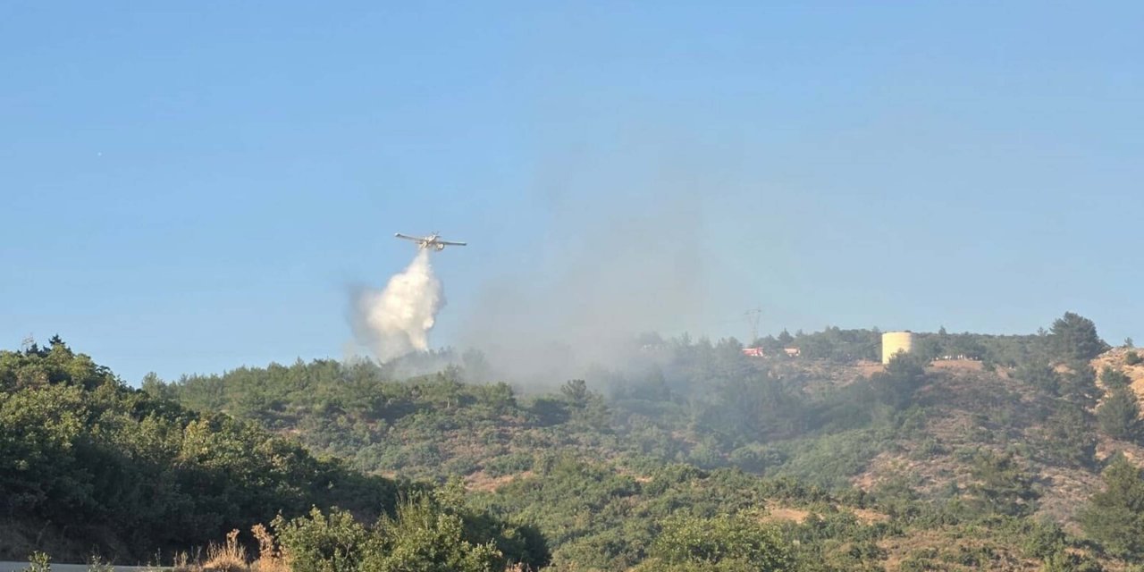 Balıkesir Havran’da makilik ve mera yangını söndürüldü