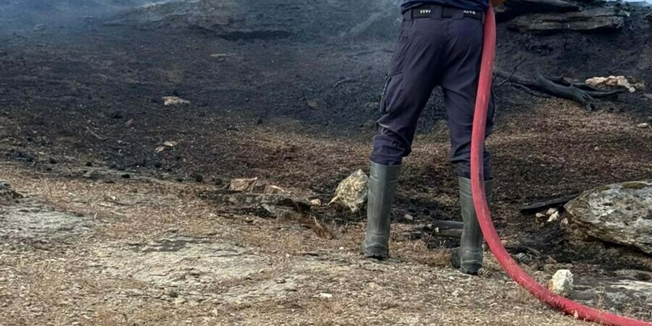 Aydın'ın Çine ilçesinde orman yangını