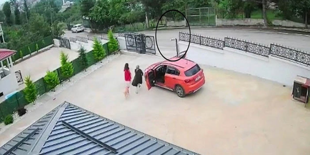 Ordu’da otomobilin çarptığı köpek öldü; 10 yaşındaki kız bayıldı